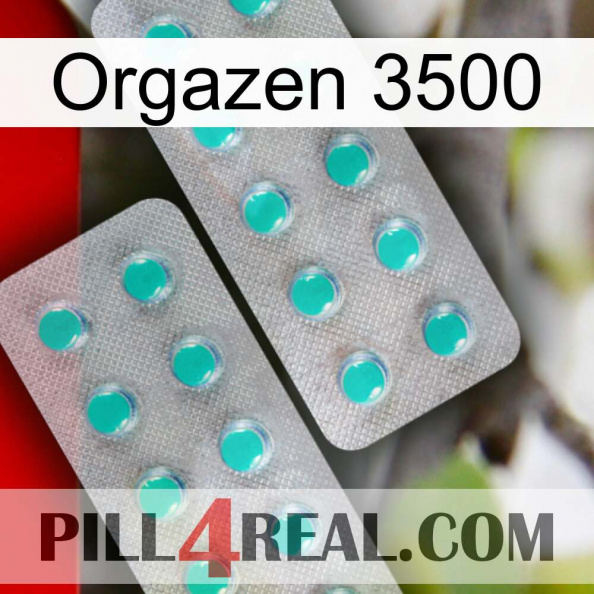 Orgazen 3500 29